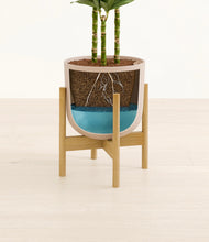 Load image into Gallery viewer, Sandy Pink stand:bamboo
