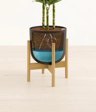 Load image into Gallery viewer, Stone Black stand:bamboo
