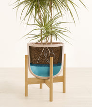 Load image into Gallery viewer, Sandy Pink stand:bamboo
