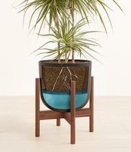 Load image into Gallery viewer, Stone Black stand:walnut
