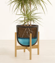 Load image into Gallery viewer, Stone Black stand:bamboo
