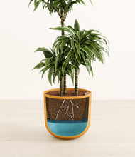 Load image into Gallery viewer, Sunset Orange
