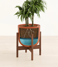 Load image into Gallery viewer, Earth Red stand:walnut
