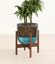 Load image into Gallery viewer, Iron Gray stand:walnut
