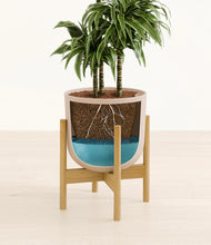 Load image into Gallery viewer, Sandy Pink stand:bamboo

