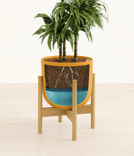 Load image into Gallery viewer, Sunset Orange stand:bamboo
