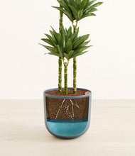 Load image into Gallery viewer, Iron Gray
