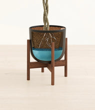 Load image into Gallery viewer, Stone Black stand:walnut
