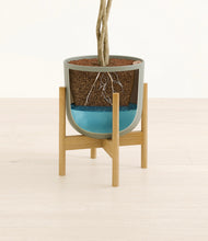 Load image into Gallery viewer, Sage Green stand:bamboo
