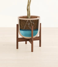 Load image into Gallery viewer, Sandy Pink stand:walnut
