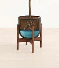 Load image into Gallery viewer, Stone Black stand:walnut
