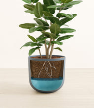 Load image into Gallery viewer, Iron Gray
