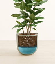 Load image into Gallery viewer, Sage Green
