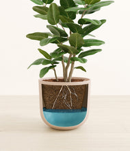 Load image into Gallery viewer, Sandy Pink
