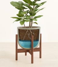 Load image into Gallery viewer, -
