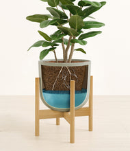 Load image into Gallery viewer, Sage Green stand:bamboo
