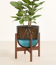 Load image into Gallery viewer, -
