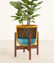 Load image into Gallery viewer, -
