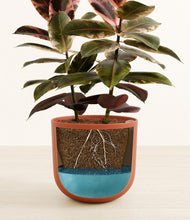 Load image into Gallery viewer, Earth Red
