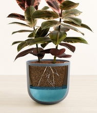 Load image into Gallery viewer, Iron Gray
