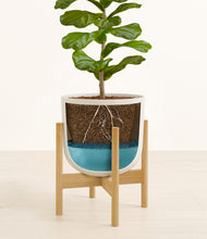 Load image into Gallery viewer, Natural Bamboo stand:bamboo
