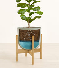 Load image into Gallery viewer, Sage Green stand:bamboo
