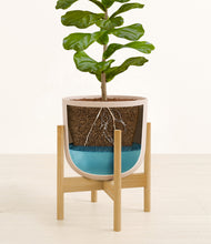 Load image into Gallery viewer, Sandy Pink stand:bamboo
