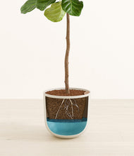 Load image into Gallery viewer, Natural Bamboo
