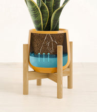 Load image into Gallery viewer, Mustard stand:bamboo
