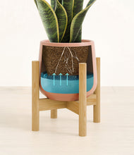 Load image into Gallery viewer, Calm Rose stand:bamboo
