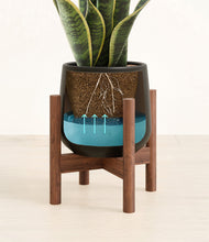 Load image into Gallery viewer, Black stand:walnut
