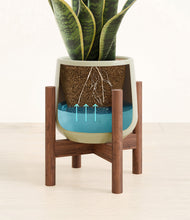 Load image into Gallery viewer, Turquoise stand:walnut
