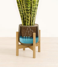 Load image into Gallery viewer, Olive stand:bamboo
