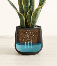 Load image into Gallery viewer, Black
