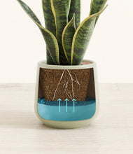 Load image into Gallery viewer, Turquoise
