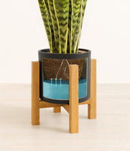 Load image into Gallery viewer, Black stand:light
