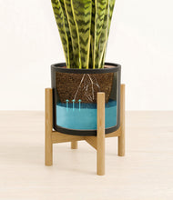 Load image into Gallery viewer, Black stand:bamboo
