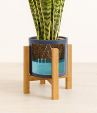 Load image into Gallery viewer, Deep Navy stand:light
