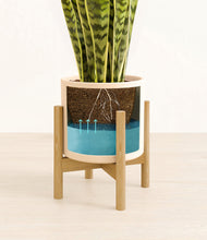 Load image into Gallery viewer, Cream stand:bamboo
