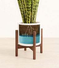 Load image into Gallery viewer, White stand:walnut
