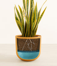 Load image into Gallery viewer, Sunset Orange
