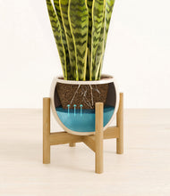 Load image into Gallery viewer, Shiny EggWhite stand:bamboo
