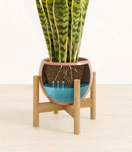 Load image into Gallery viewer, Calm Rose stand:bamboo
