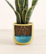 Load image into Gallery viewer, Key Lime Yellow
