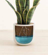 Load image into Gallery viewer, Cotton White
