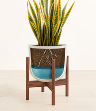 Load image into Gallery viewer, Natural Bamboo stand:walnut
