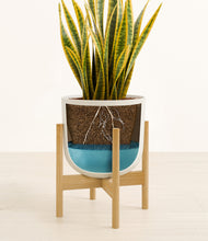 Load image into Gallery viewer, Natural Bamboo stand:bamboo
