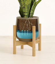 Load image into Gallery viewer, Olive stand:bamboo
