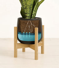 Load image into Gallery viewer, Black stand:bamboo
