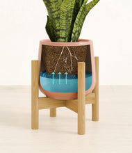 Load image into Gallery viewer, Calm Rose stand:bamboo
